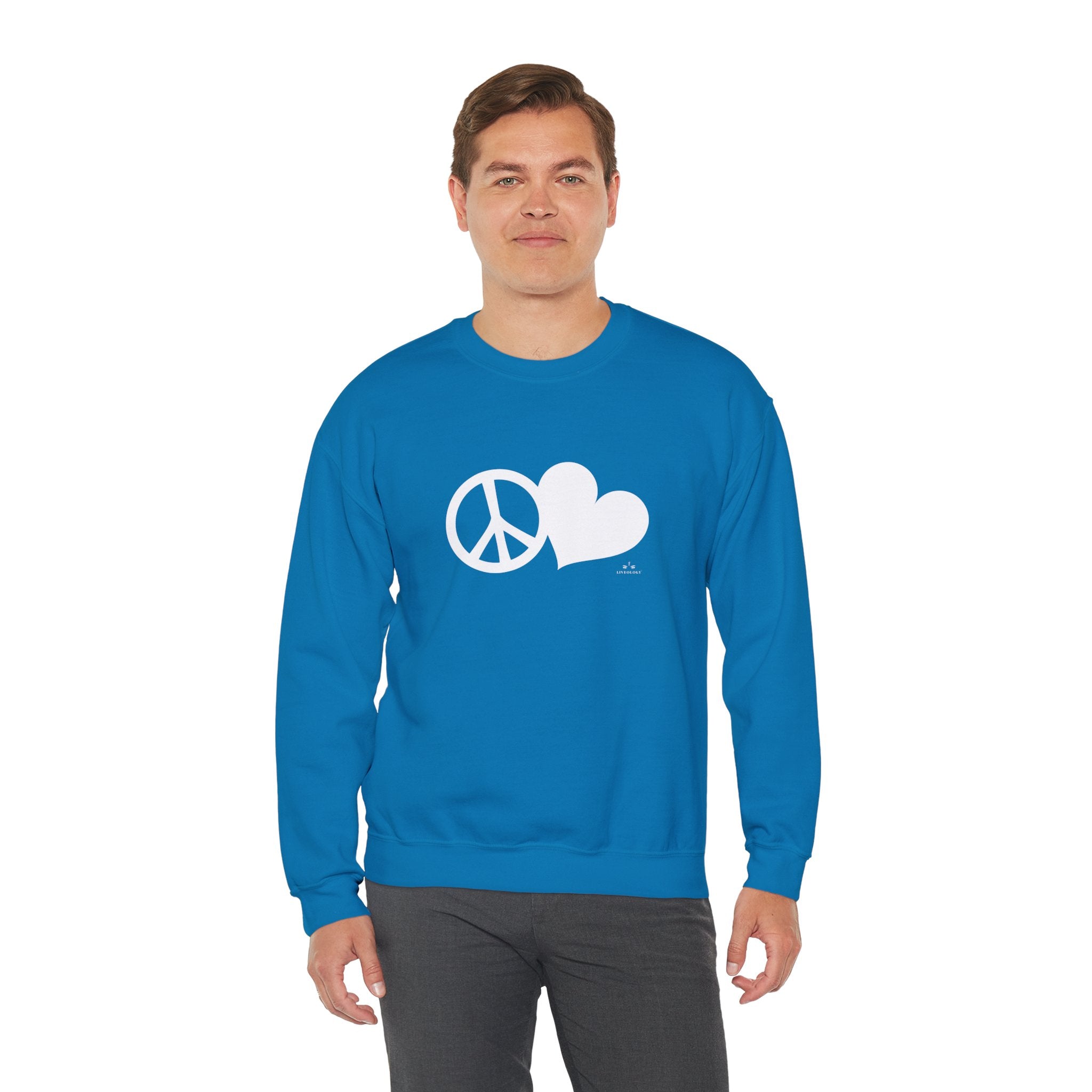 peace + love sweatshirt image 0